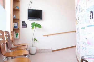 院内はすべてバリアフリーとなっております。車いすでそのまま診療室までお入りいただけます。トイレ、廊下には手すりをお付けしています。